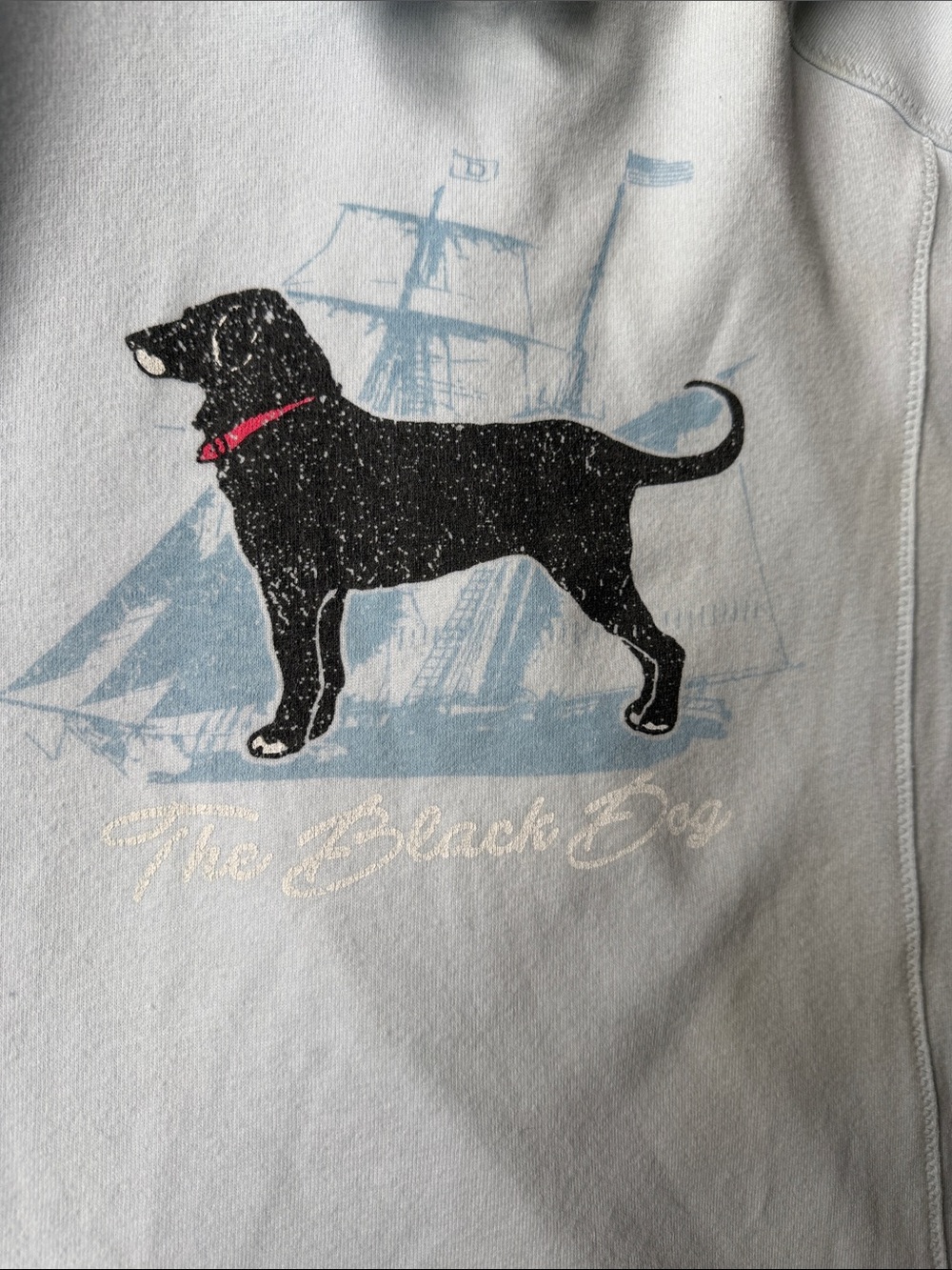 Black Dog Light Blue Hoodie, Generously sized and soft - Picture 6 of 10